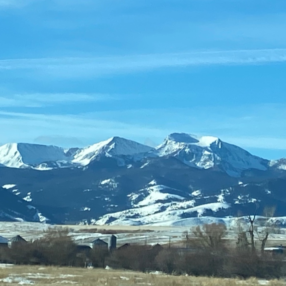 Loft Stars & Stripes One of a Kind Denim - Picture 9 of 16